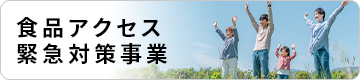 食品アクセス緊急対策事業